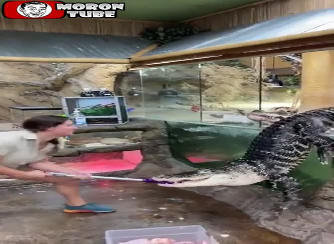 Video :Is this zoo staffer truly knowledgeable about her job